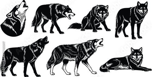 Detailed wolf silhouettes set, howling and walking timber wolf poses collection, wild predator animal vector icons isolated on white background.