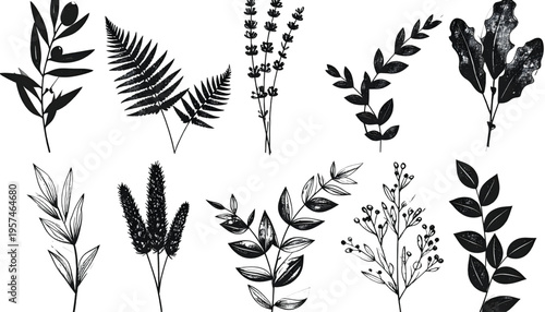 A collection of ten hand drawn black botanical sketches showing various leaves and floral sprigs