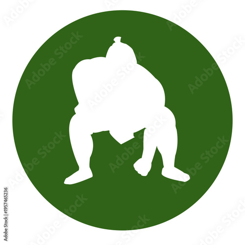 Sumo circle icon