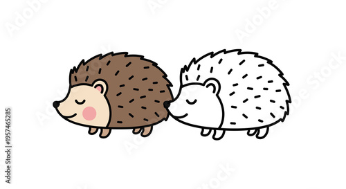 Hedgehog Cartoon Illustration and Line Art Outline