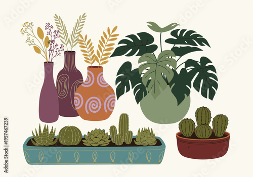 Modern illustration of various indoor plants, succulents, cacti, and botanical decor