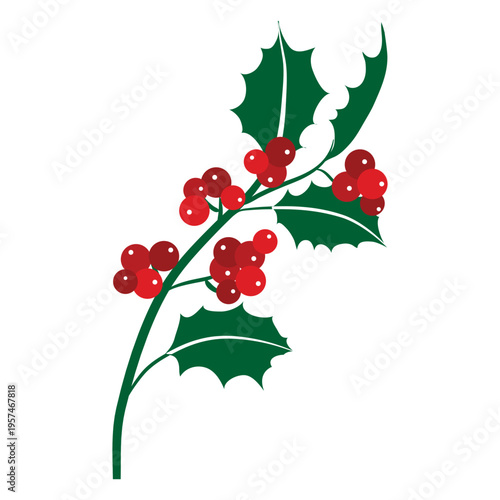 Mistletoe branch icon 25