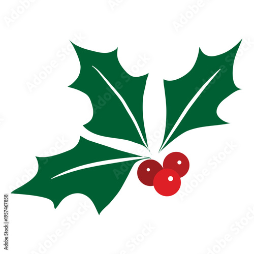 Mistletoe icon 14