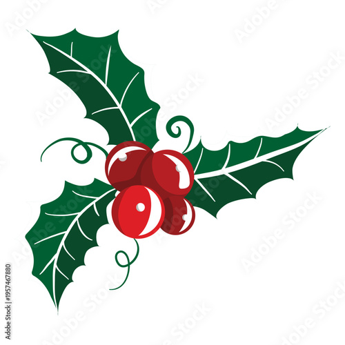 Mistletoe icon 19
