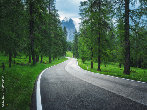 Road in green forest in rai...