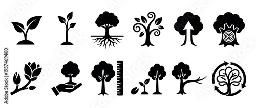 Collection of plant growth and tree development icons illustrating the life cycle, ecology, and environmental concepts in black silhouettes.