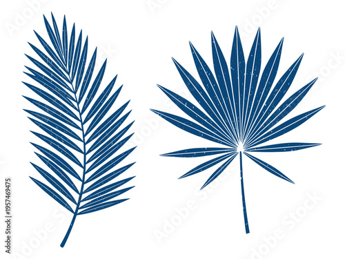 Set of blue tropical palm fronds, a summer vector collection on transparent background