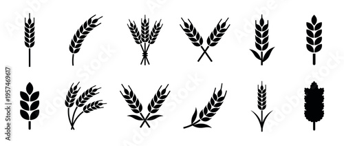 Collection of black silhouette wheat and grain ear icons in various styles, representing agriculture, harvest, and food production.