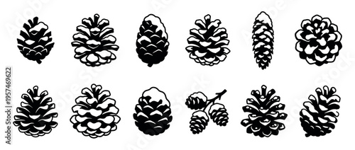 Pine cones vector illustration set featuring various shapes and styles, some covered in snow, perfect for winter and holiday designs.