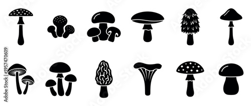 Various mushroom fungi silhouettes icon collection featuring different types of edible and inedible toadstools in a simple graphic style.