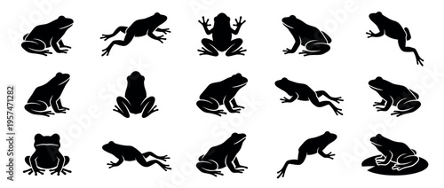 Frog silhouettes vector set featuring various amphibian poses and shapes, perfect for nature-themed designs and educational materials.