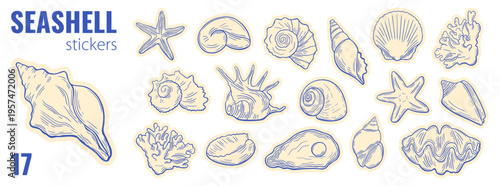 Seashell summer sticker set. Hand drawing ocean shells, starfish, coral, marine elements. Beach themed sketch with sea icons in line art style.