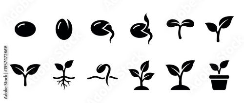 Plant growth stages from seed to seedling, showing germination, sprouting, and development in a simple icon set.