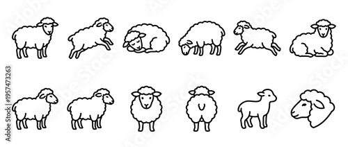 Sheep and lamb outline illustrations in various poses and actions, depicting standing, grazing, sleeping, and jumping farm animals.