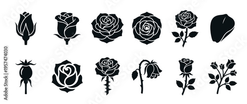 Rose flower plant botanical collection of various stages and forms, including buds, open blooms, wilting flowers, and rose hips, in a silhouette style.