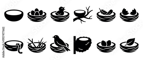 Bird nest icons set with various elements like eggs, chicks, feathers, and a bird, representing nature and new life.