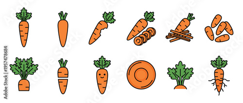 Carrots vegetable icons set with various forms including whole, sliced, bitten, and cut pieces, representing healthy food and gardening concepts.