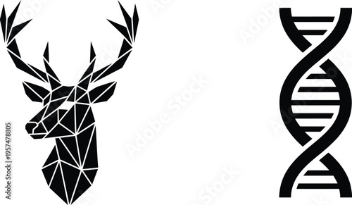 tribal tattoo design