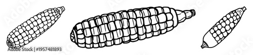 Corn on the cob icon set with simple line art design featuring sketches, drawings, vector graphics with minimalist and simple illustrations