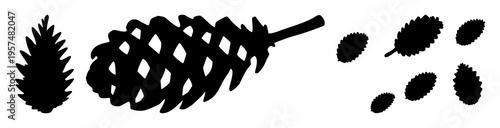 Pinecone silhouette set with simple black line illustration featuring pinecone, nature, tree with evergreen and conifer