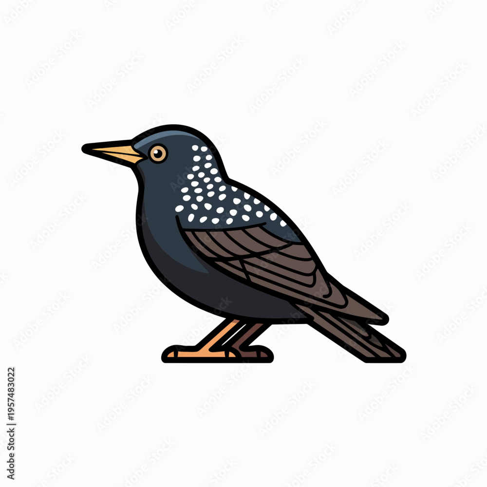 Obraz premium Spotted bird standing on white background brown wings yellow beak yellow legs