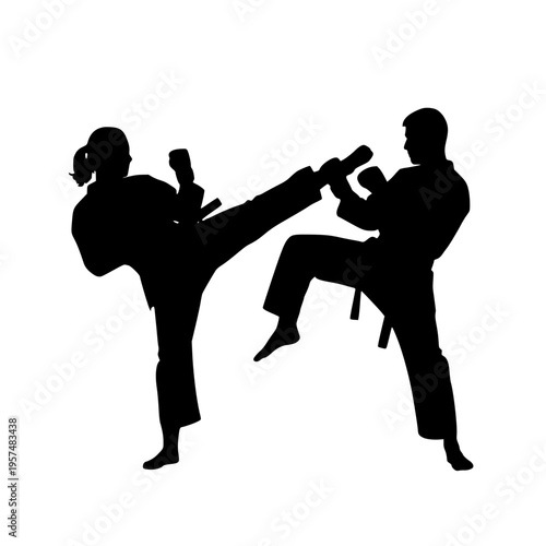A man and woman in karate stances kicking and blocking Vector, illustration
