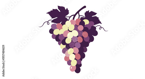 Stylized illustration of a bunch of colorful grapes with green leaves