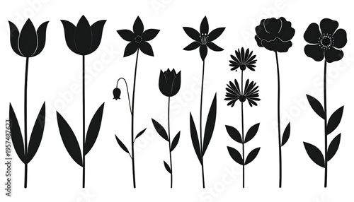 A collection of various hand drawn flower silhouettes arranged in a simple row on white background