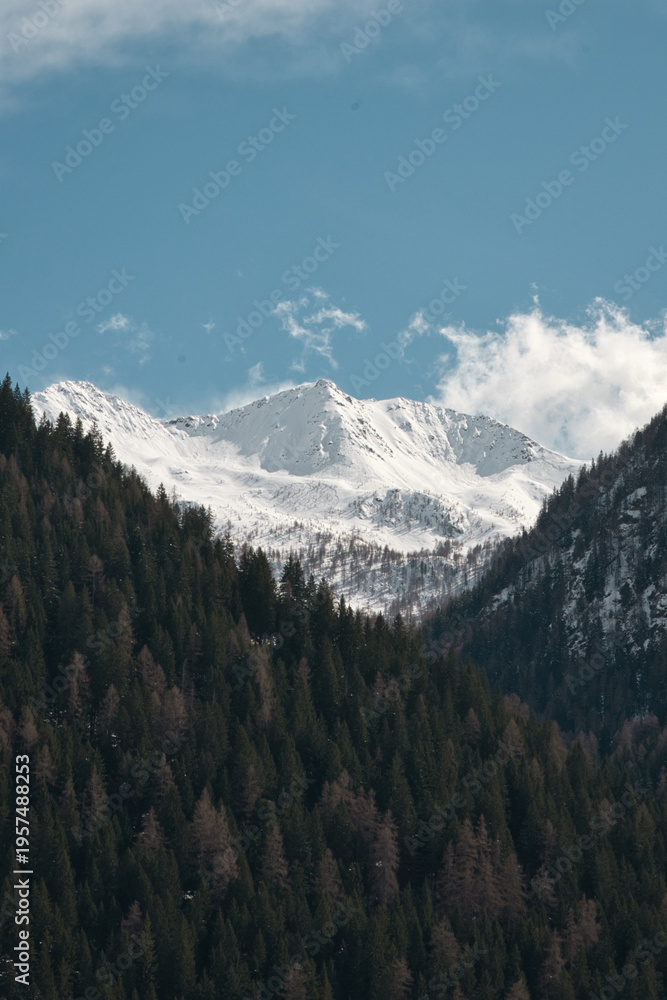 Fototapeta premium Alpine mountain landscape with forested slopes under a clear blue sky in South Tyrol, Italy.