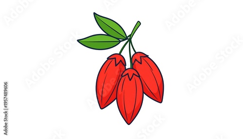 Illustration of three ripe red goji berries with green leaves on a white background.