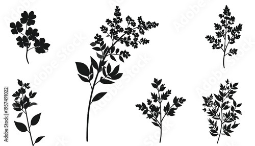 A collection of black and white botanical illustrations featuring various wild flower silhouettes