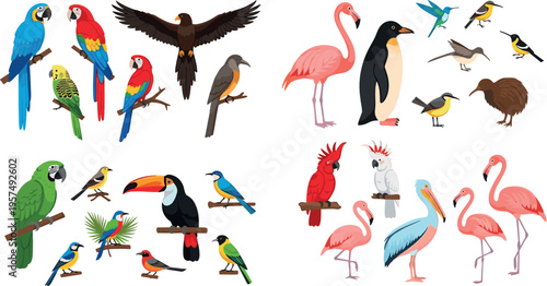 Colorful Bird Collection with Parrots, Flamingos, Penguins, Eagles, Toucans and Tropical Wildlife Species Vector Illustration Set