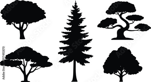 WebTree silhouette illustration, black shapes, forest outline, nature design, bonsai style, coniferous tree, deciduous canopy, landscape art, foliage drawing