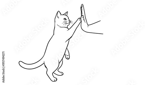 Cute cat high five with human hand vector side view playful pet interaction isolated on transparent background