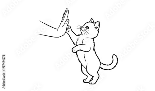 Playful cat giving high five to human hand side view vector illustration isolated on transparent background