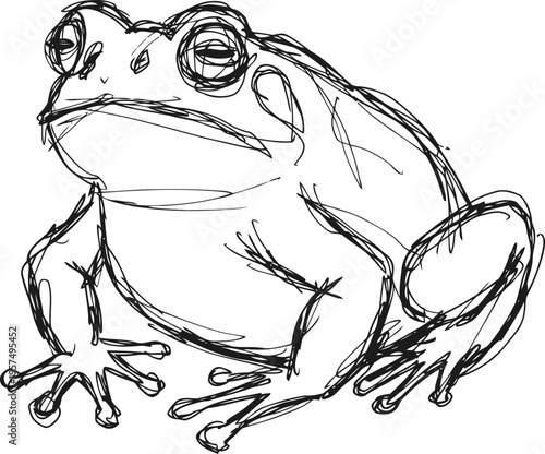 hand drawn sketch of a frog sitting, amphibian outline with detailed eyes and limbs