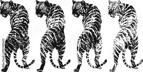 Four black and white tigers standing with back turned, monochrome animal silhouettes