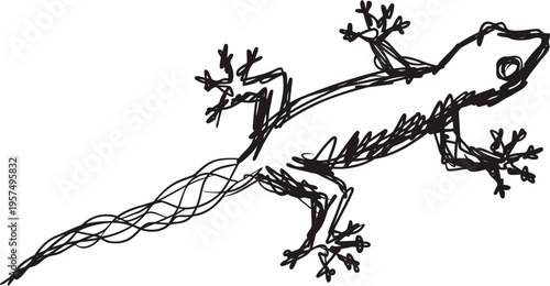 black silhouette of a lizard with an elongated tail and splayed toes drawn in ink