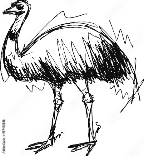Hand drawn emu bird sketch in black and white with rough scratchy lines and simple details