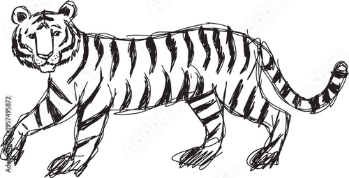 Hand drawn tiger illustration with sketch style, wild animal outline on white background