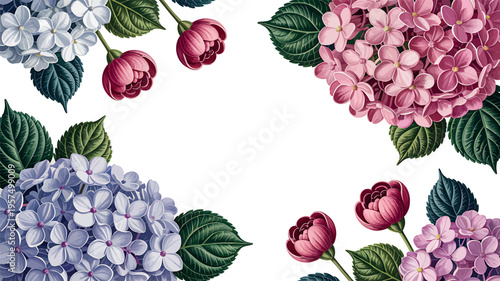 Hydrangea flowers and buds in pink blue and purple vector illustration floral frame