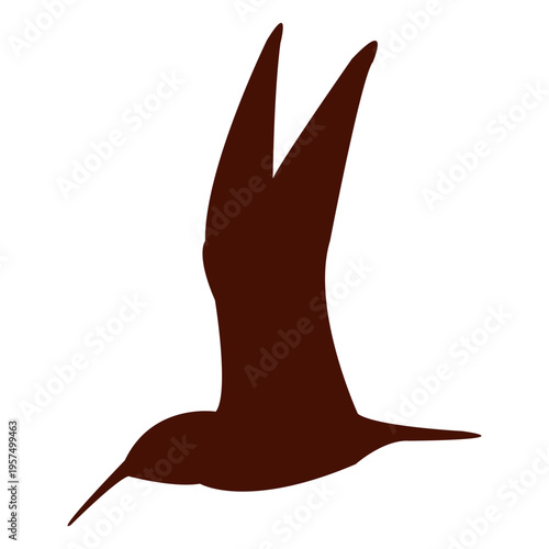 Frigate bird silhouette