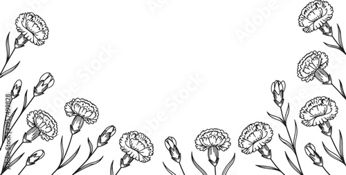 Floral border with carnation buds and flowers, elegant hand-drawn design, botanical illustration, vintage style decoration.