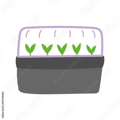 Seedlings in grow box in flat cartoon design. Green stem plants growing in plastic tray, domestic greenhouse for seeds germinating. Gardening, horticulture and farming activity. Vector illustration