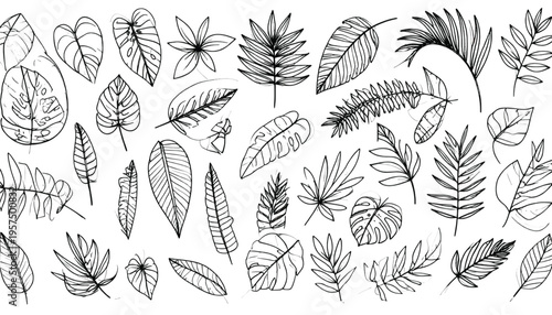A collection of various hand-drawn monochrome leaf illustrations arranged in a scattered pattern