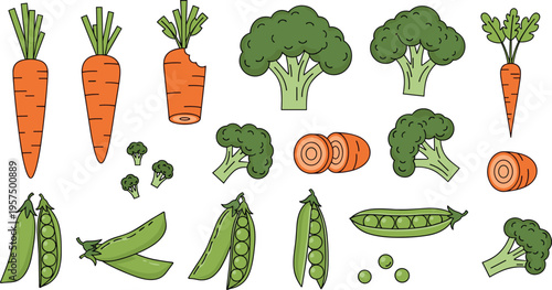 Healthy Green and Orange Vegetable Vector Set Featuring Carrots Broccoli and Green Peas with Sliced and Whole Pieces for Nutrition Cooking and Garden Illustrations