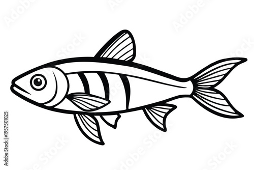 neon tetra silhouette line art vector illustration