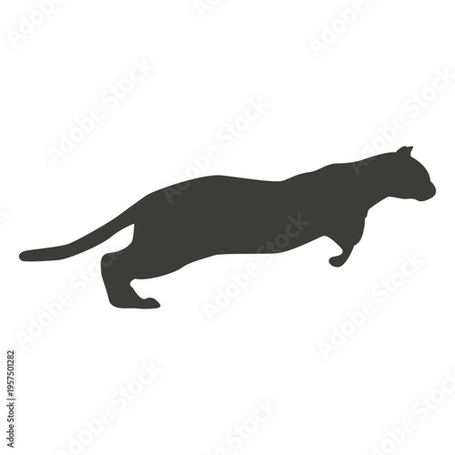 Cat running sequence 14