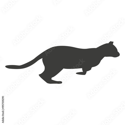 Cat running sequence 15