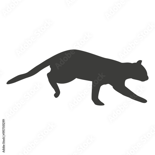 Cat running sequence 19